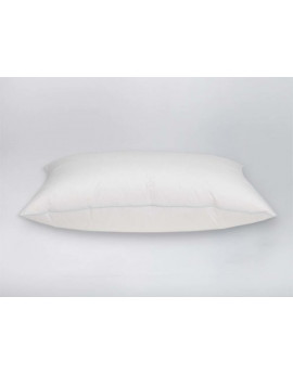 Almohada Pluma "Medium" 70x40 Gobi Ferdown